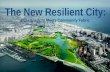 The New Resilient City