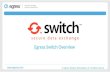 Egress Switch Introduction