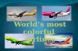World's most colorful airlines