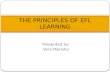 The principles of efl learning
