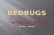 Bedbugs the hidden enemy