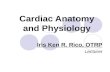 Cardiac anatomy and physiology