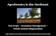 Agroforestry in the Northeast