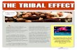 The tribal effect by The Silva Method