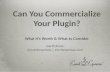 Can You Commercialize Your WordPress Plugin