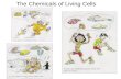 Powerpoint chemicals of-life - copy