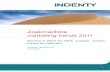 Indenty trendanalyse zoekmachine marketing 2011