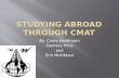 Cmat 102 study abroad group project