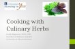 Cooking with Culinary Herbs