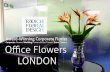 Office Flowers and Plants for Delivery in London by Flower Shop Todich Floral Design LTD