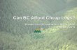 Can BC Afford Cheap Logs?