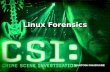 Linux forensics