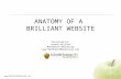 Anatomy of a Brilliant Website