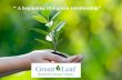 Greenleaf international landscape companies