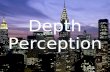 EDU290 Depth Perception Presentation