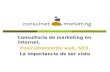 Consulnet Marketing, Posicionamiento Web. SEO