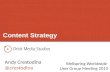 Wellspring Worldwide Content Strategy