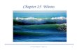 Chapter 25 waves