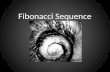 541 Interactive ppt Fibonacci Sequence