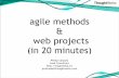 Agile And Web Projects (in 20 minutes)