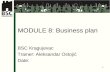 Aleksandar Ostojic - Business plan