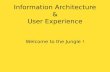 Information Architecture - introduction