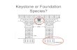 Keystone and Foundation Species