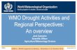WMO Drought Activities and Regional Perspectives by Jose Camacho, Scientific Officer Agricultural Meteorology Division, WMO