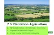 Plantation Agriculture