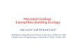 Levin Microbial Ecology Exemplifies Building Ecology