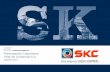 Presentacion Corporativa - Foco SKC (Ago-13)