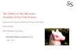 Ten Slides in Ten Minutes - Parable of the Pink Ponies