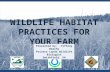 Wildlife Habitat Practices for Your Farm