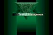 Travel  tour management