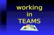 Working In Teams (Tafe) Powerpoint Slides Revised