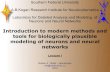 Introduction to modern methods and tools for biologically plausible modeling of neurons and neural networks (1)