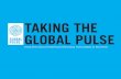 Taking the Global Pulse - Photo Book