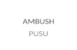 Ambush Pusu