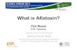 Fen Beed, IITA   "What is Aflatoxin? "