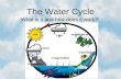 The Water Cycle 2.04