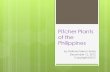 Pitcher Plants of the Philippines