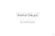 Animal Groups Basal Reader