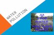 Ville and George Water Pollution Project