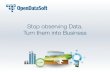 Stop observing data ! - Turn them into business with OpenDataSoft
