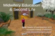 Midwifery education & Second Life