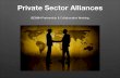Private Sector Alliances