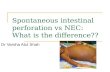 Spontaneous intestinal perforation vs nec