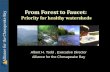 From Forest to Faucet: Priority for Healthy Watersheds by Albert H. Todd, Executive Director