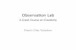 Observation lab - are you paying attention