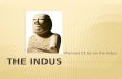 Indu Culture